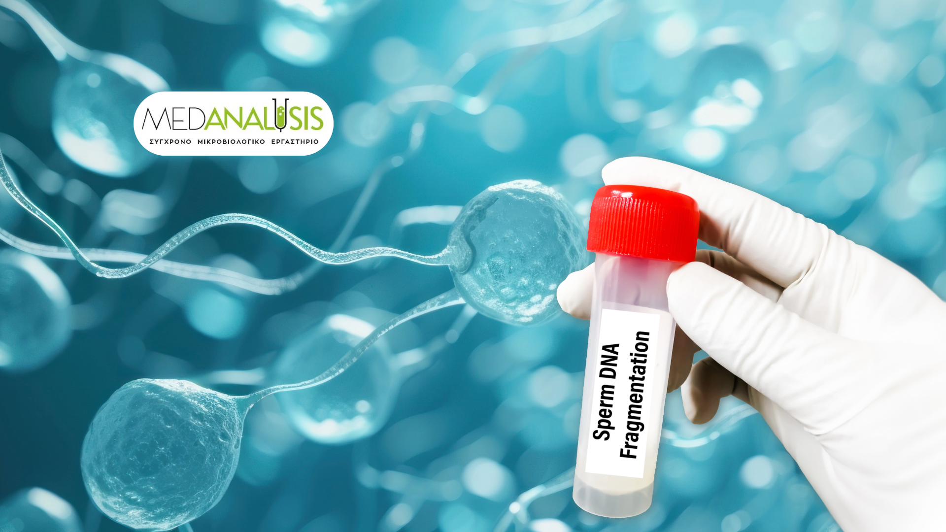 Κατακερματισμός DNA στο Σπέρμα